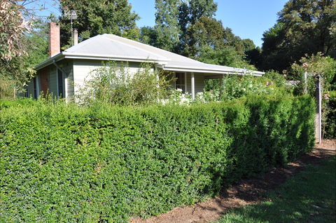 Honeysuckle Cottage - Accommodation Mt Buller 1