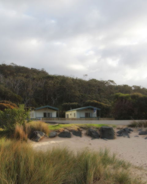 Kennett River Holiday Park - Accommodation Mt Buller 0