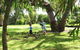 Kennett River Holiday Park - thumb 1