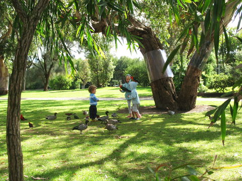 Kennett River Holiday Park - Accommodation Mt Buller 1