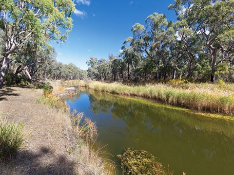 Kings Plains Creek Campground - Accommodation Mt Buller 1