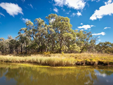 Kings Plains Creek Campground - Accommodation Mt Buller 2