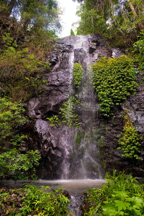 Nimbin Waterfall Retreat - Accommodation Mt Buller 0