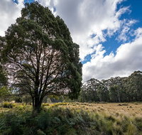 Nunnock campground - Accommodation Mt Buller