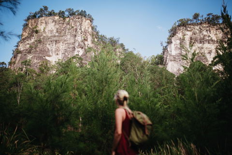 Sandstone Park Carnarvon Gorge - Accommodation Mt Buller 0