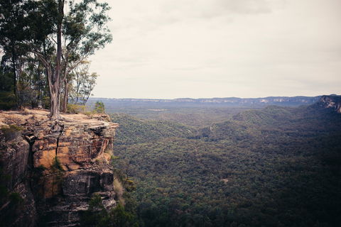 Sandstone Park Carnarvon Gorge - Accommodation Mt Buller 1
