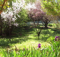 Sofala Cottage - Accommodation Mt Buller
