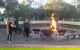 Stony Creek Bush Camp Caravan Park - thumb 1