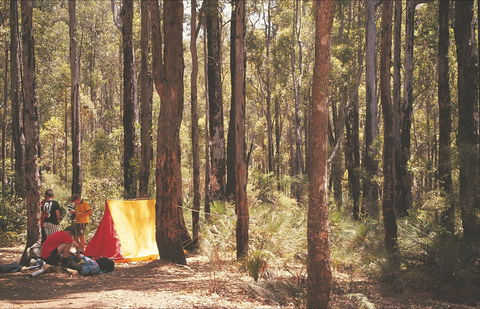 Stringers Camp At Lane Poole Reserve - Accommodation Mt Buller 1