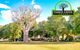 Timber Creek Hotel And Caravan Park - thumb 0