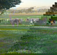 Wallinga Studio Farmstay - Accommodation Mt Buller