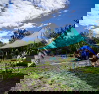 Banksia Green campground - Accommodation Mt Buller