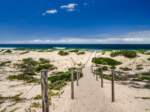 Banksia Green Campground - Accommodation Mt Buller 2