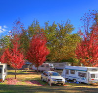 Beechworth Lake Sambell Caravan Park - Accommodation Mt Buller