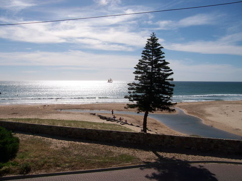 Christies Seahorse - Accommodation Mt Buller 1