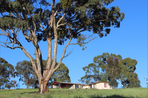 Clare View Accommodation - Clare View Cottage - Accommodation Mt Buller 2