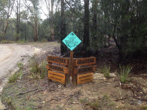 Echidna On Bruny - Accommodation Mt Buller 1