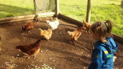 Emerald Park Holiday Farm - Accommodation Mt Buller 2
