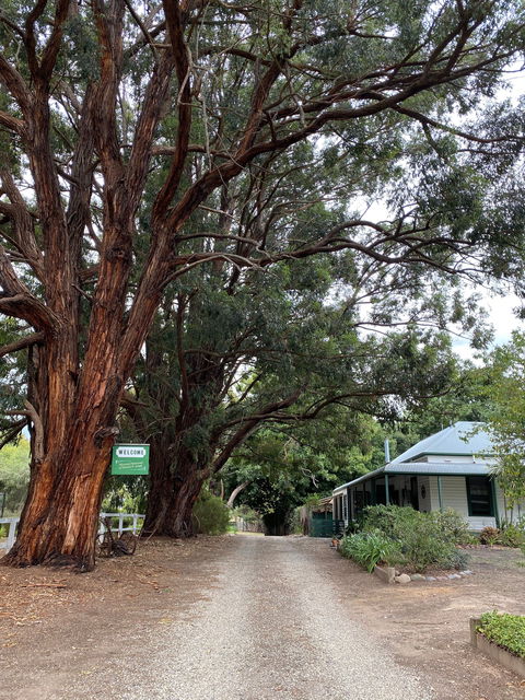 Fernleigh Accommodation - Accommodation Mt Buller 0