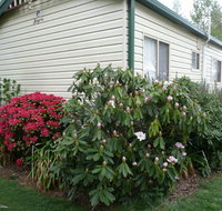 Jenolan Caravan Park - Accommodation Mt Buller