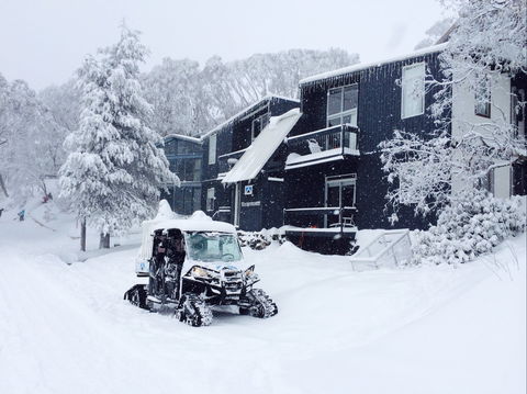 Kilimanjaro Alpine Apartments - Accommodation Mt Buller 2