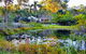 Kiwarrak Country Retreat - thumb 1