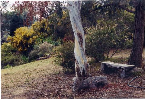 Kurringai Cottage - Accommodation Mt Buller 1