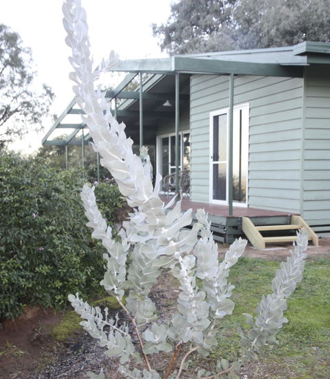 Kurringai Cottage - Accommodation Mt Buller 2