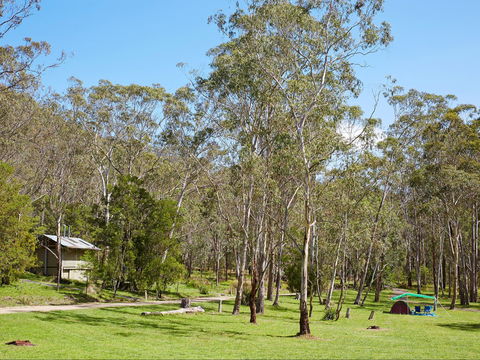Main Range National Park Camping - Accommodation Mt Buller 0