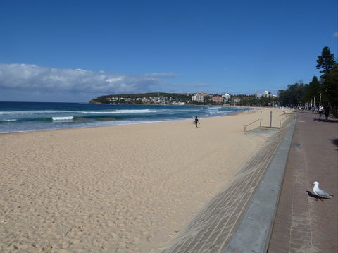 Manly Seaside Cottage - Accommodation Mt Buller 0