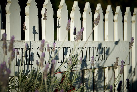 Mayfield Vineyard Cottages - Accommodation Mt Buller 0