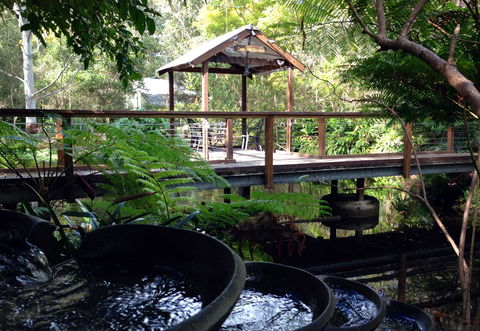The Oasis And Wellness Centre  At One Mile Beach - Accommodation Mt Buller 0