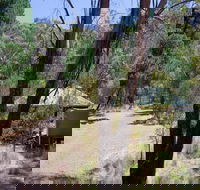 The Barracks campground - Accommodation Mt Buller