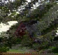 Turkeys Nest Rainforest Cottages Mt Glorious - Accommodation Mt Buller