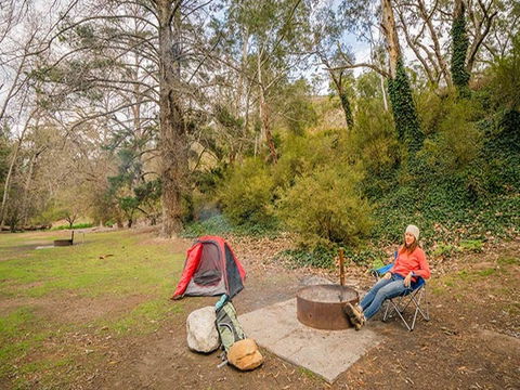 Wombeyan Caves Campground - Accommodation Mt Buller 2