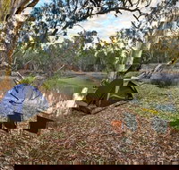 Woolpress Bend campground - Accommodation Mt Buller