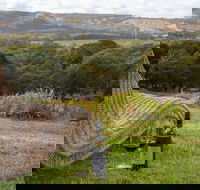 131 - Heart of the Vale