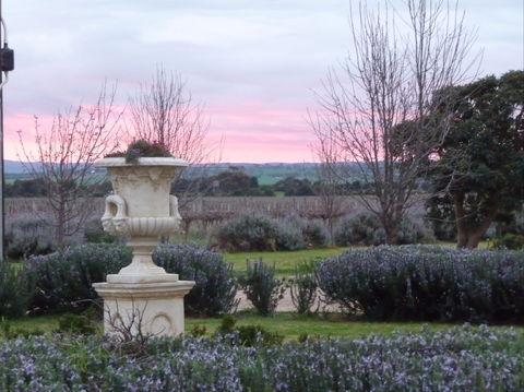 Angas Plains Wines Suites - Accommodation Mt Buller 2