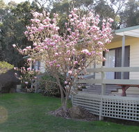 Annies Holiday Units - Accommodation Mt Buller