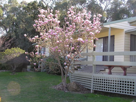 Annies Holiday Units - Accommodation Mt Buller 0