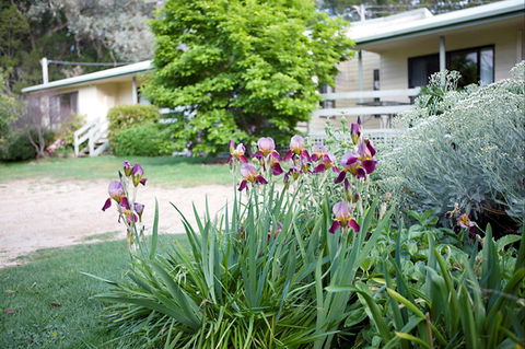 Annies Holiday Units - Accommodation Mt Buller 2