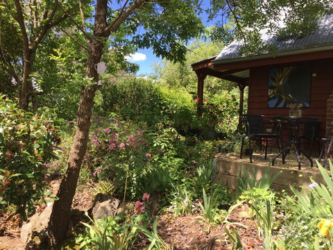 Artscape Cottage Beechworth - Accommodation Mt Buller 2