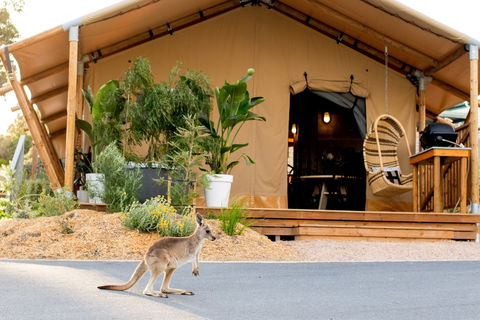 BIG4 Anglesea Holiday Park - Accommodation Mt Buller 2