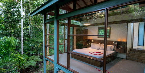 Crystal Creek Rainforest Retreat - Accommodation Mt Buller 2