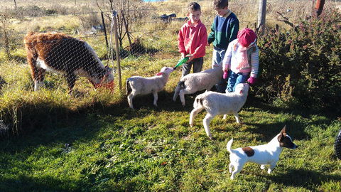 Dairy Park Farm Stay Bed And Breakfast - Accommodation Mt Buller 2