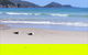 Eagles Rise Tasmania - thumb 0