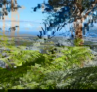 Escarpment - Accommodation Mt Buller