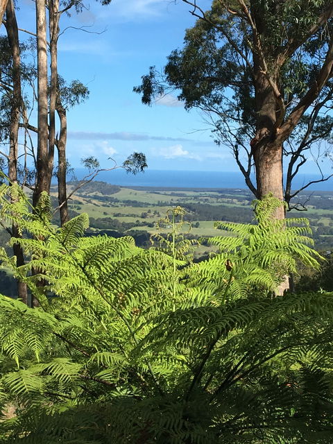 Escarpment - Accommodation Mt Buller 0