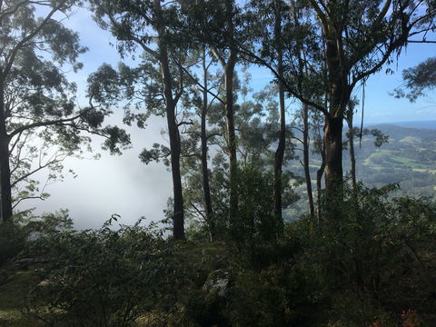 Escarpment - Accommodation Mt Buller 2