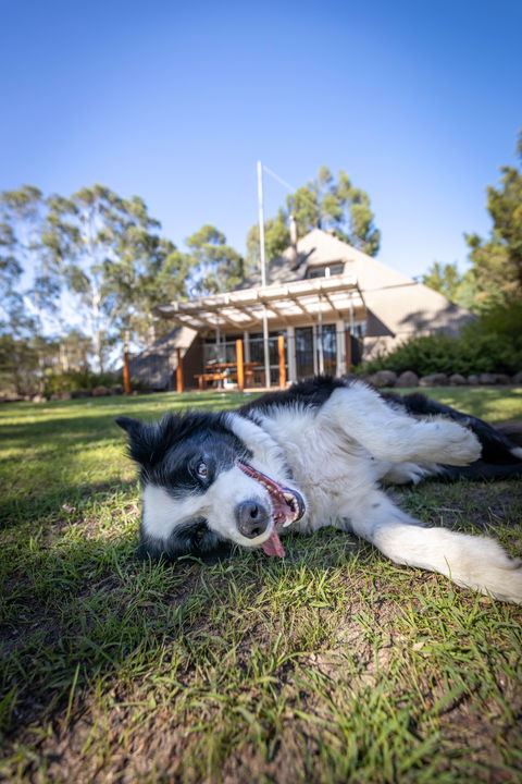 Grampians Getaway - Accommodation Mt Buller 0